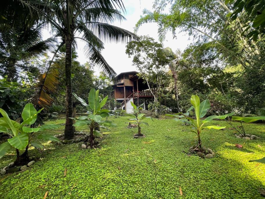 Caoni riverside Lodge Puerto Quito Esterno foto