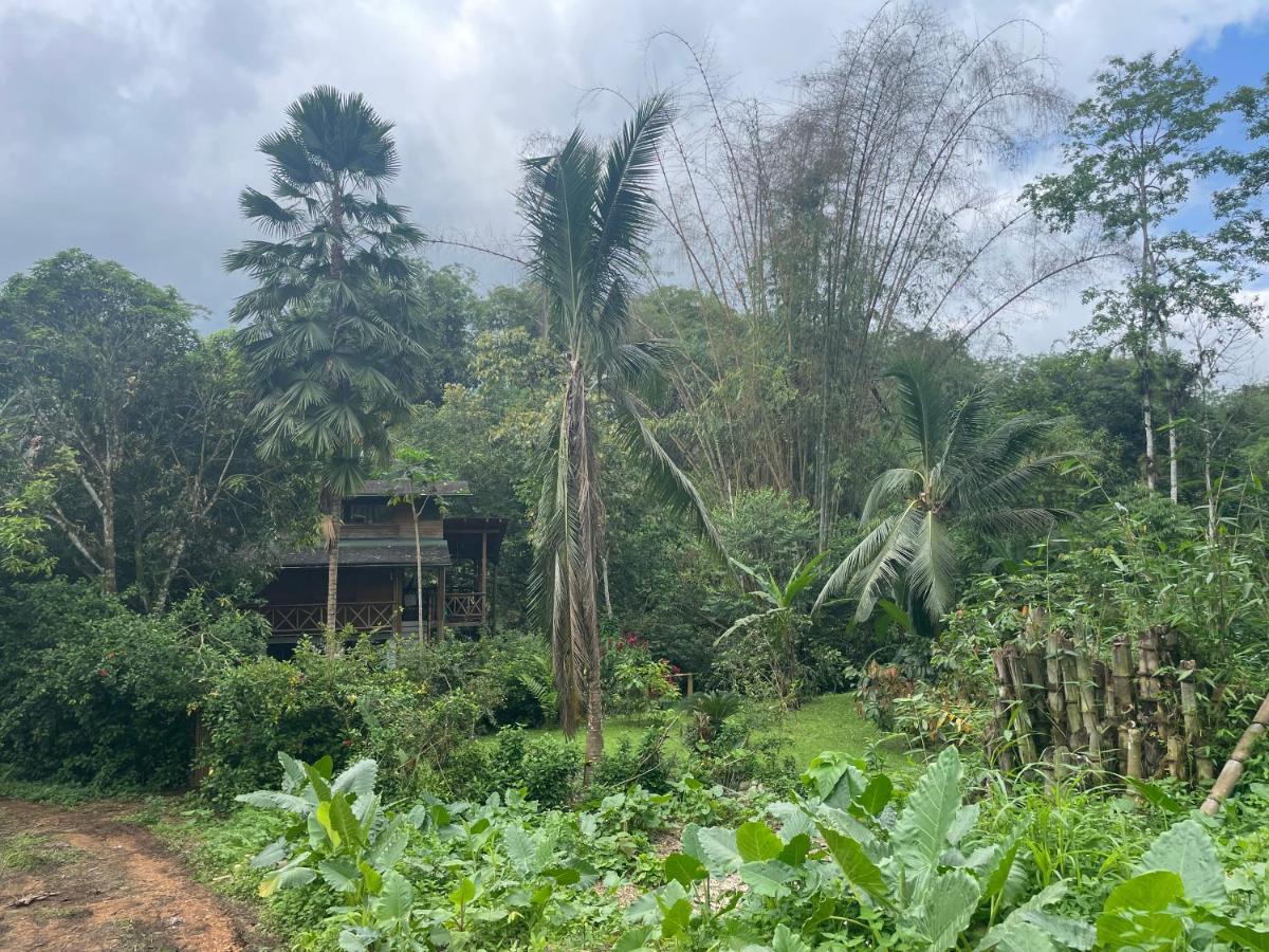 Caoni riverside Lodge Puerto Quito Esterno foto