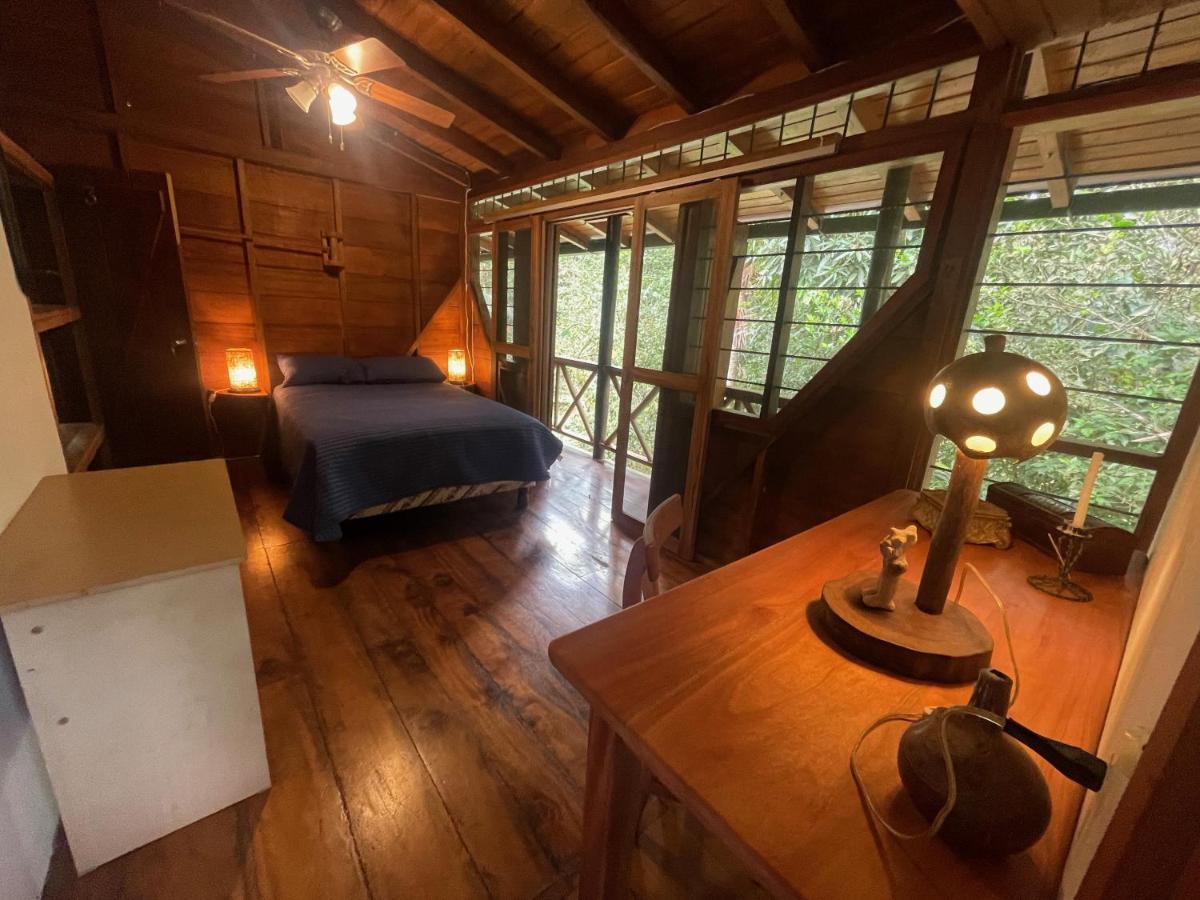 Caoni riverside Lodge Puerto Quito Esterno foto