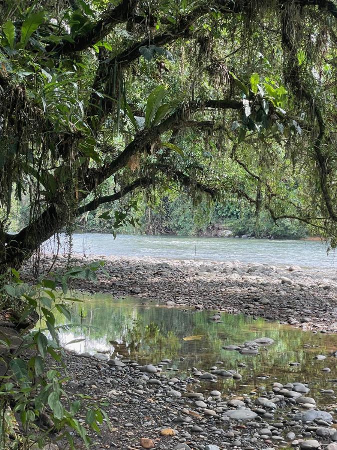 Caoni riverside Lodge Puerto Quito Esterno foto