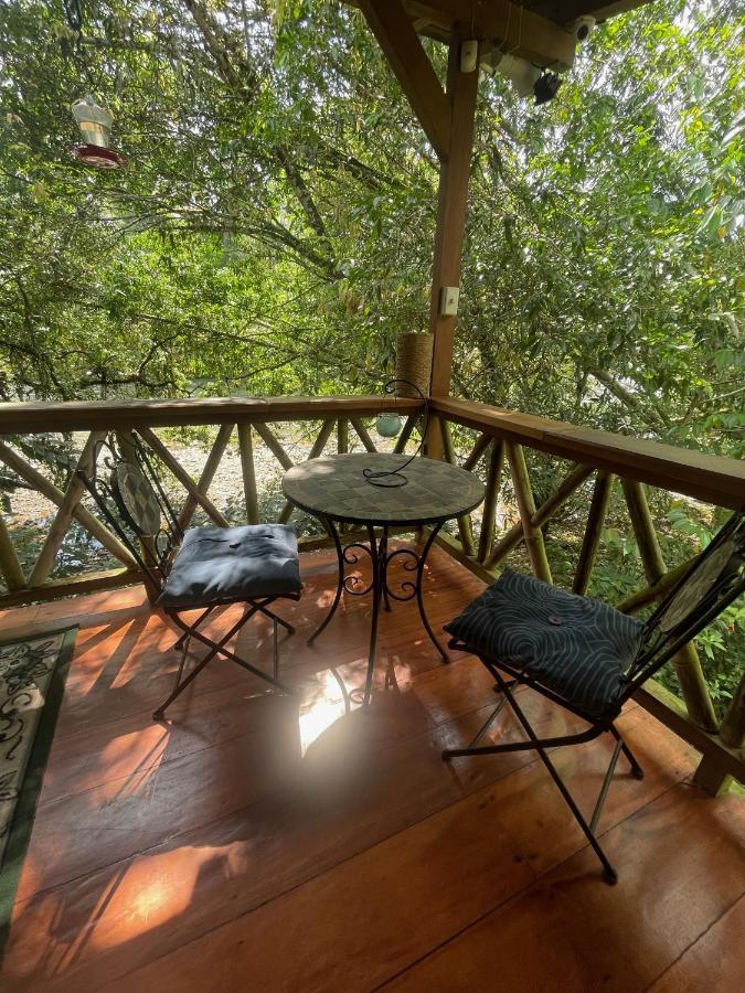 Caoni riverside Lodge Puerto Quito Esterno foto